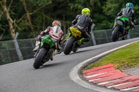 PJ-Motorsport-Photography-2020;anglesey;brands-hatch;cadwell-park;croft;donington-park;enduro-digital-images;event-digital-images;eventdigitalimages;mallory;no-limits;oulton-park;peter-wileman-photography;racing-digital-images;silverstone;snetterton;trackday-digital-images;trackday-photos;vmcc-banbury-run;welsh-2-day-enduro